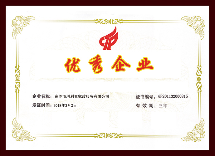 優(yōu)秀育嬰師