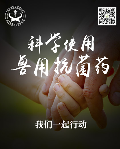 5fb722a661fbc.jpg 5fb722a661fbc.jpg